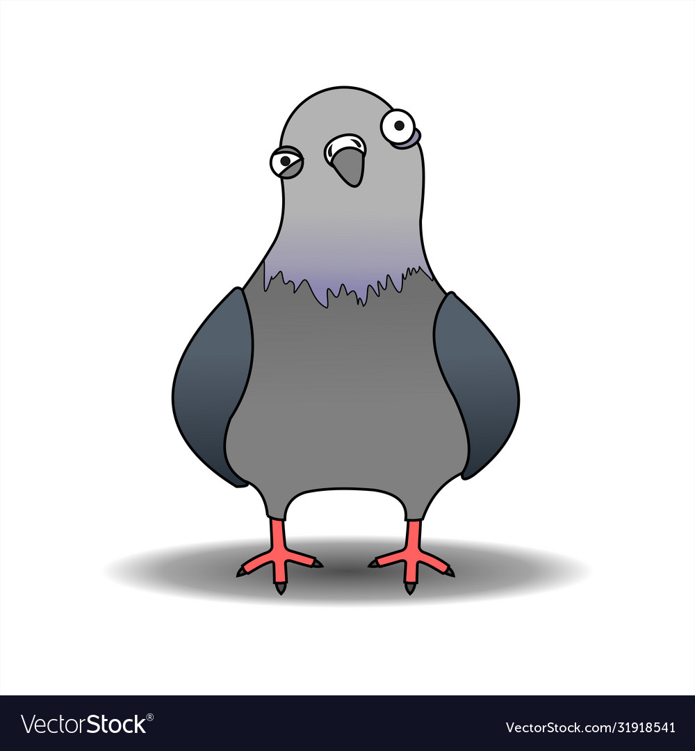 Pigeon Cartoon Bird