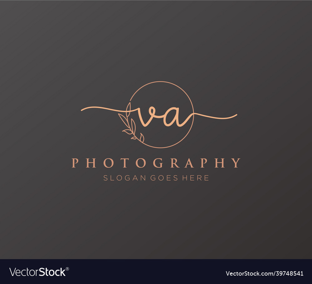 Initial va feminine logo usable for nature salon Vector Image