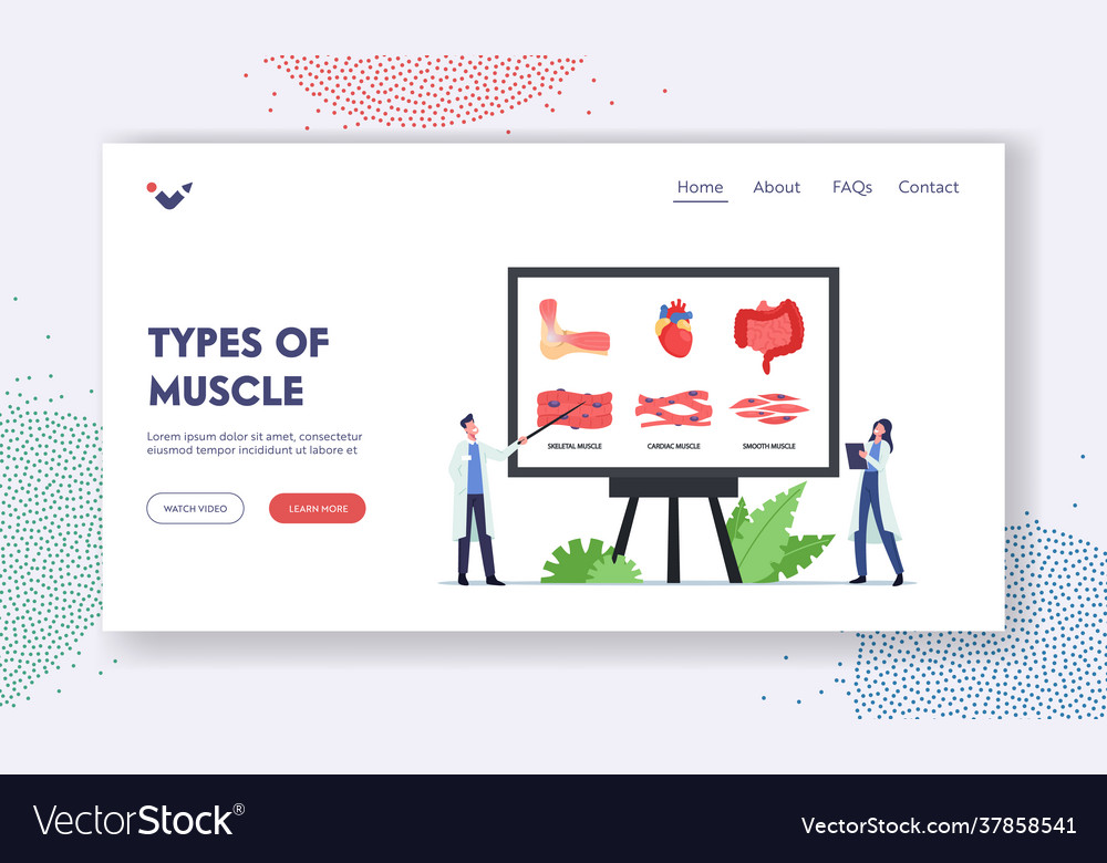 Types muscles landing page template tiny vector image Types muscles landing page template tiny