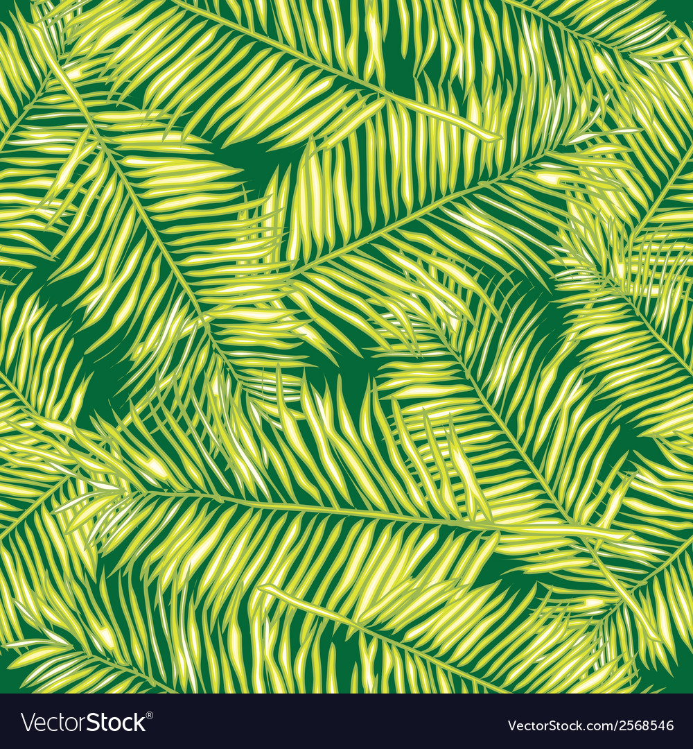 Tropical Palm Leaves Background