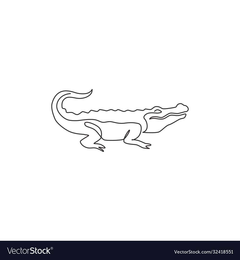 One single line drawing river swamp alligator Vector Image