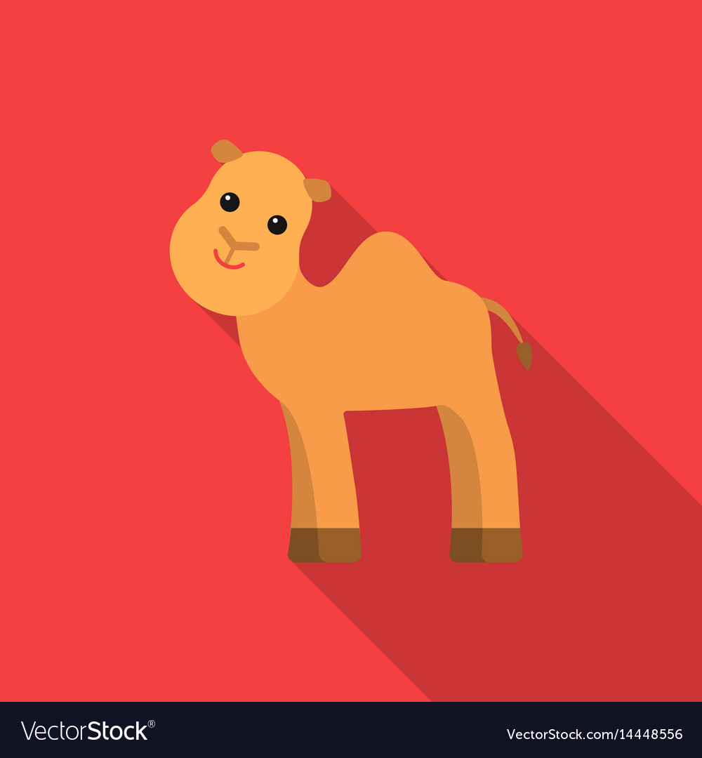 Camel flat icon for web and mobile