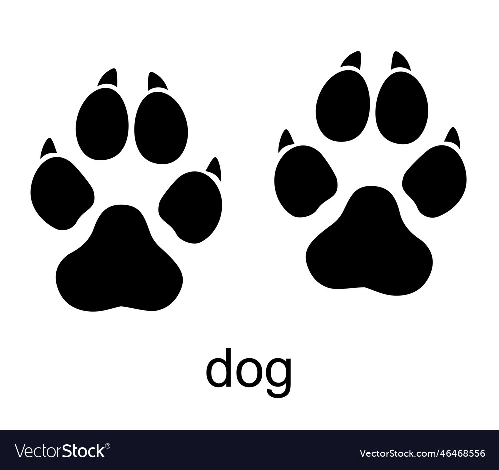 Dog footprint stamp foot print track icons Vector Image