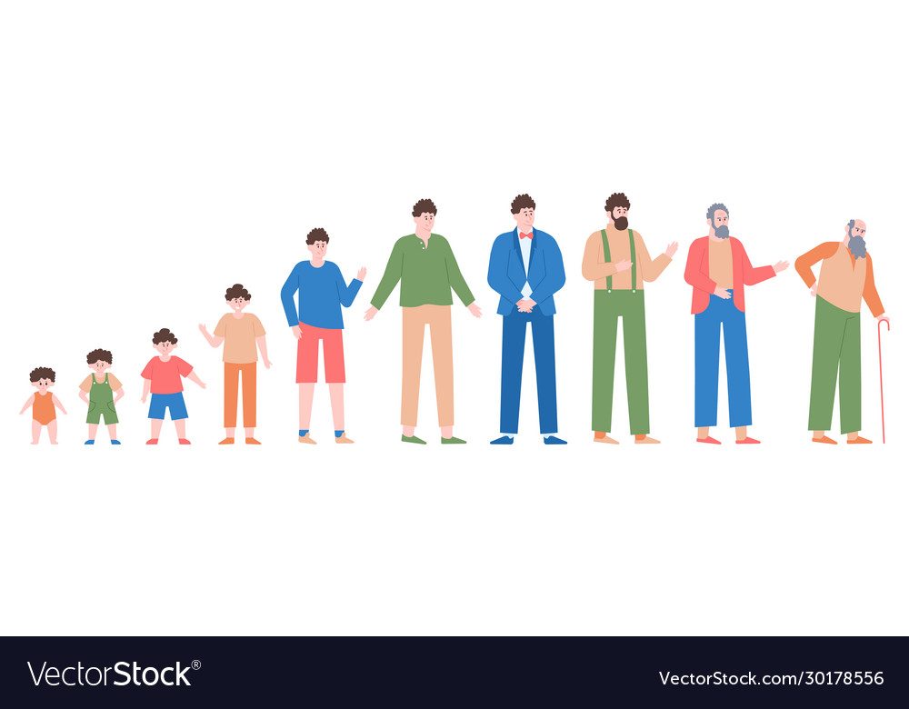 Man life cycles male different age baby boy Vector Image