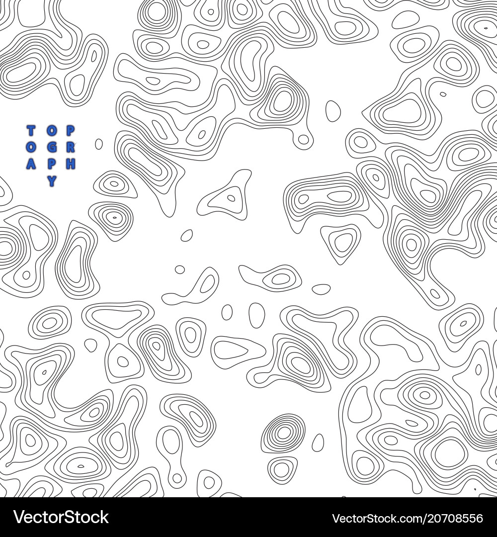 Topography map Royalty Free Vector Image - VectorStock
