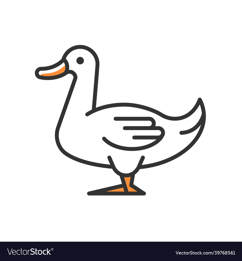 Domestic duck rgb color icon