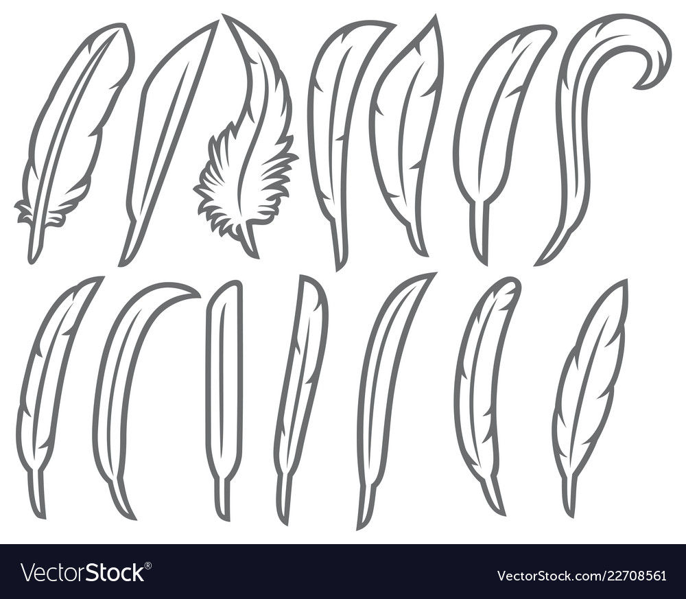 Feathers thin line icons set