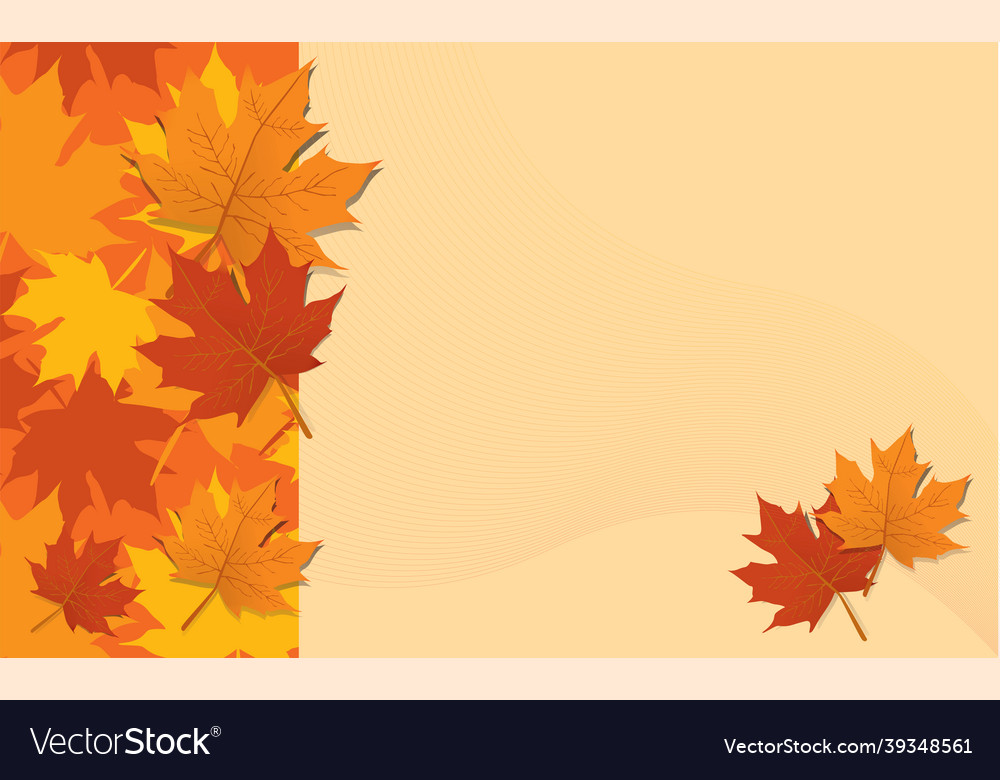 Layout for autumn concept background maple leaves
