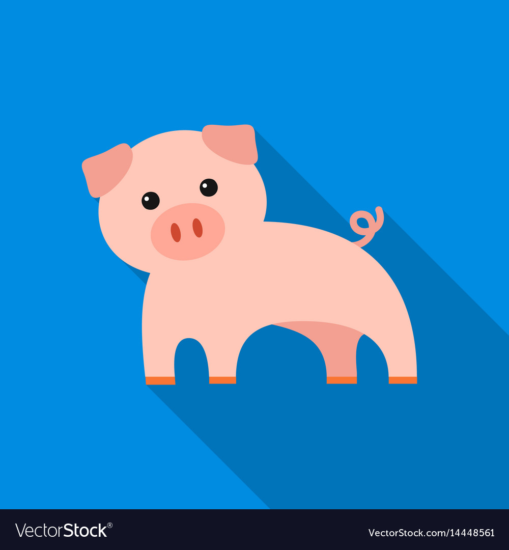 Pig flat icon for web and mobile
