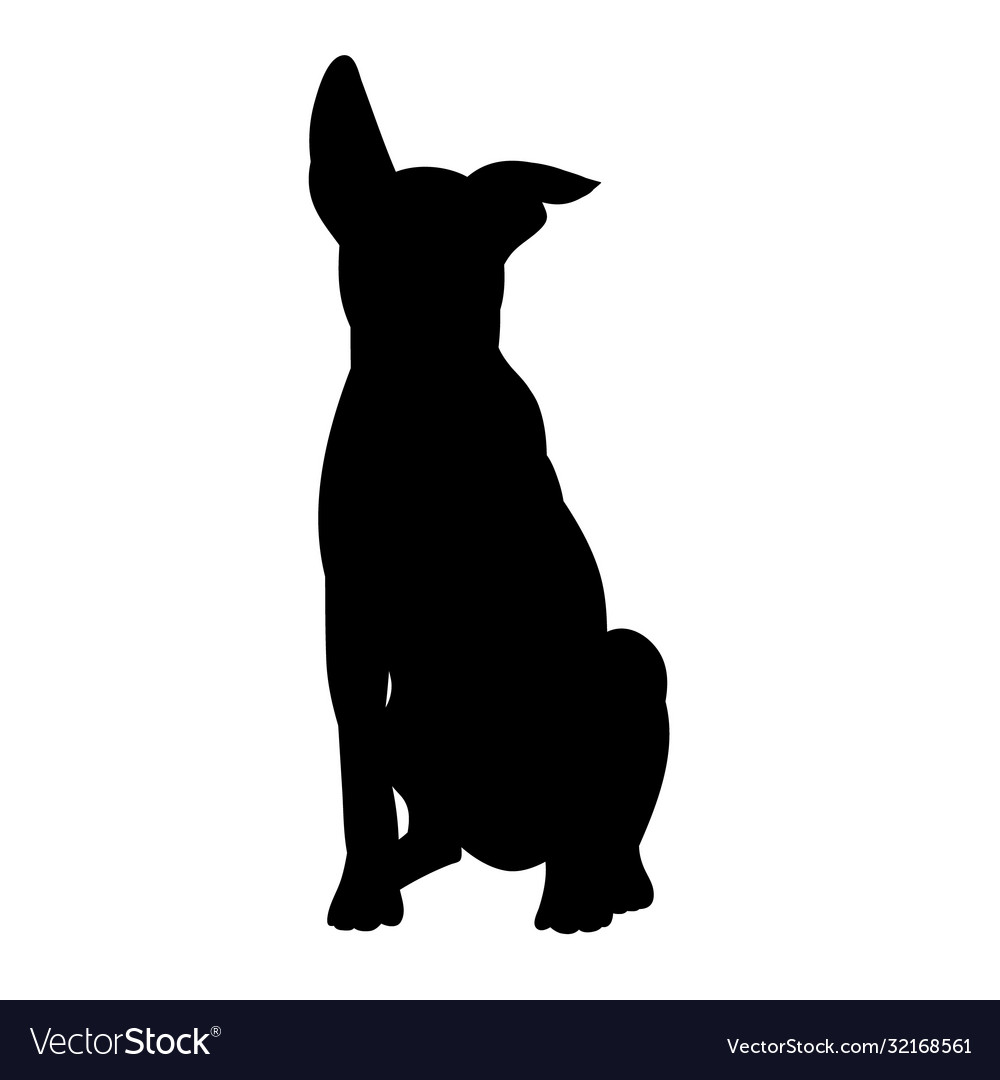 White background black silhouette a dog sitting