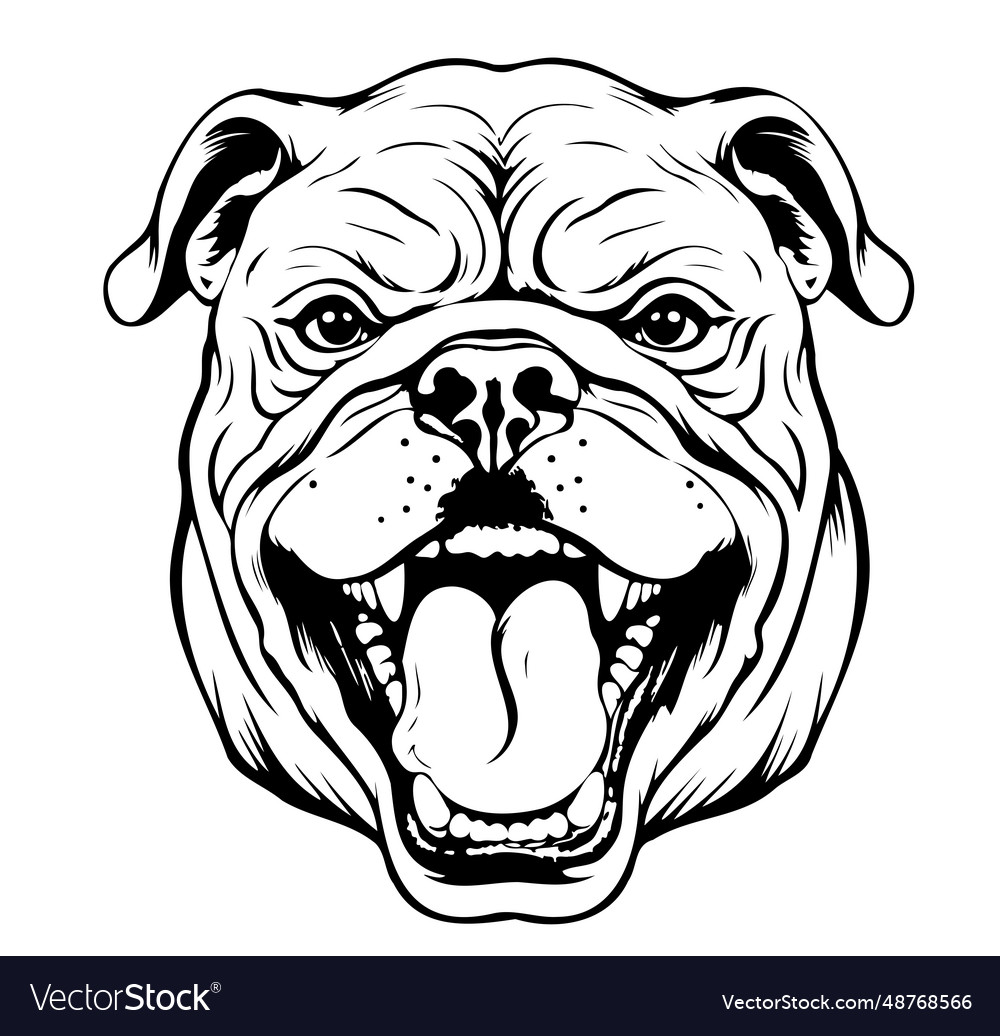 Bulldog head sketch hand drawn Royalty Free Vector Image