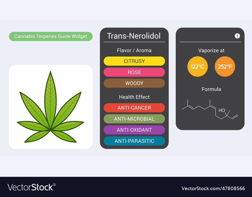 Cannabis Terpene Guide Information Chart Aroma Vector Image 1123