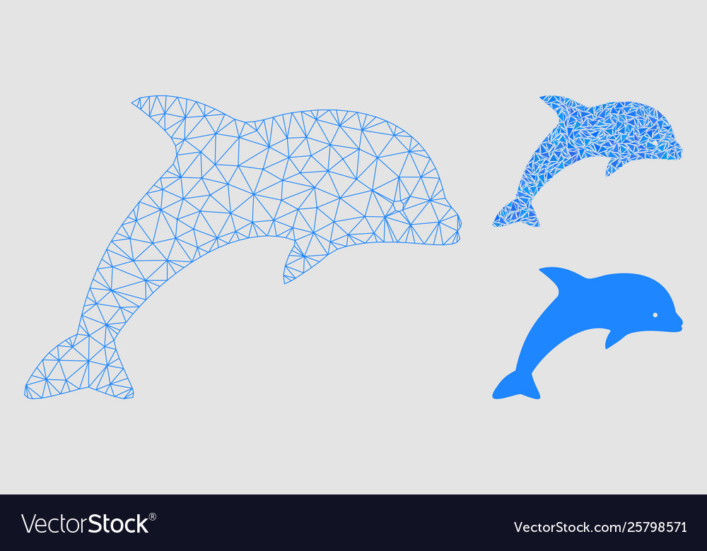 Dolphin mesh network model and triangle vector image Dolphin mesh network model and triangle