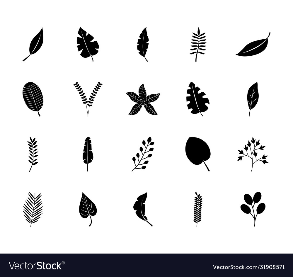 Palm leaf and tropical leaves icon set silhouette Vector Image