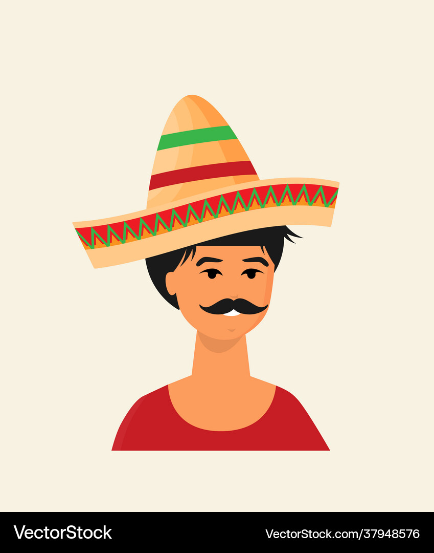 Flat mexican hat icon Royalty Free Vector Image
