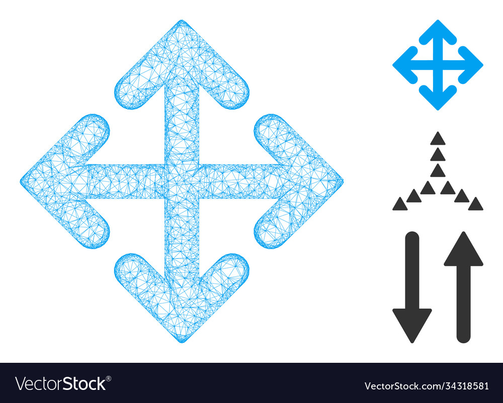 Direction variants polygonal web mesh vector image Direction variants polygonal web mesh