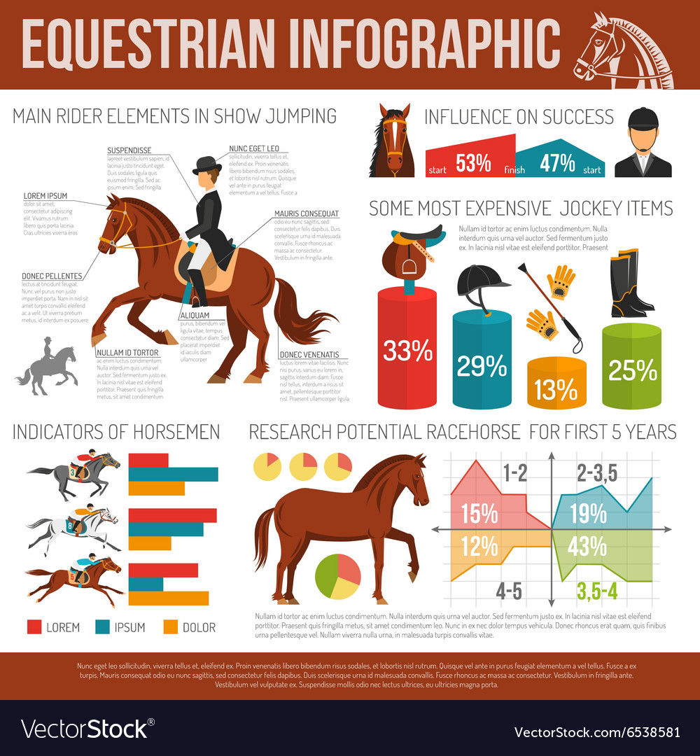 woman-horseback-riding-equestrian-sport-642944-vector-art-at-vecteezy