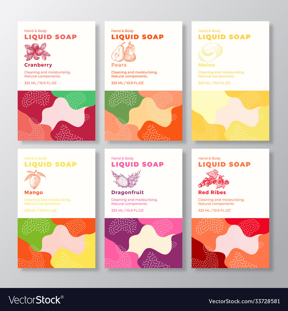 Liquid soap package label templates set abstract Vector Image