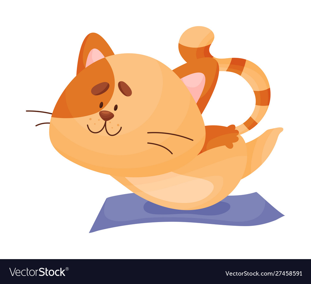 Cartoon cat yogi lies on his stomach Royalty Free Vector