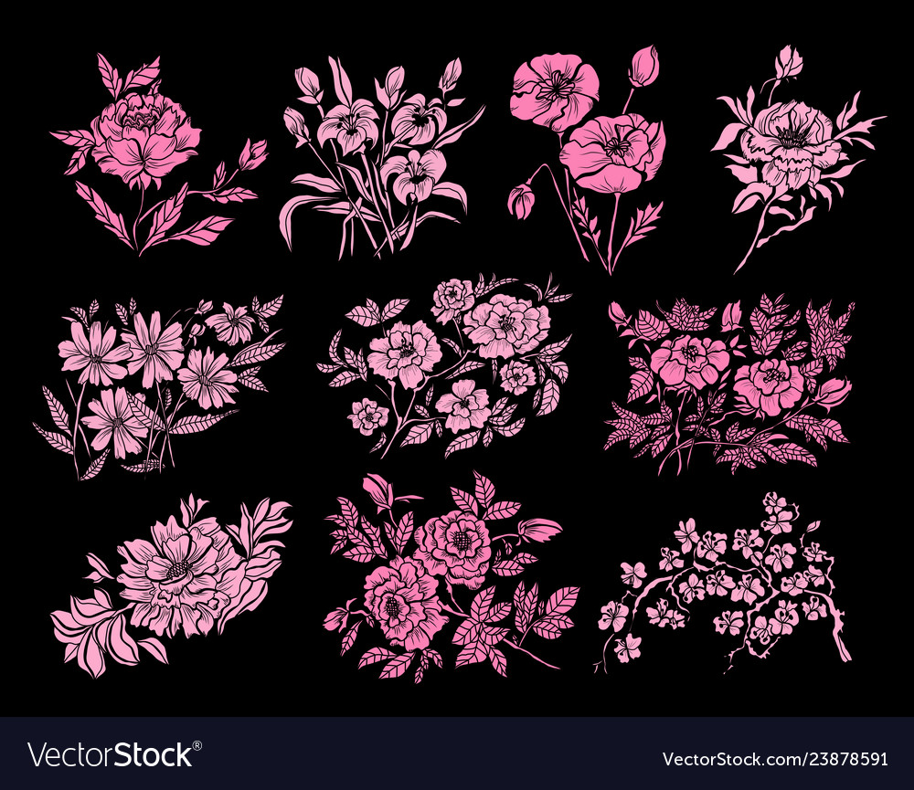 Hand drawn floral decoration vector image Hand drawn floral decoration