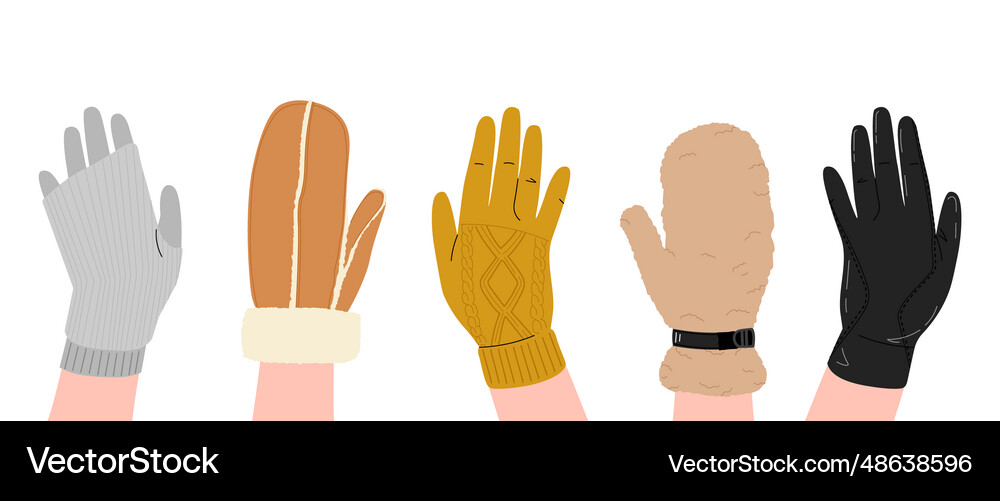 Different gloves set Royalty Free Vector Image