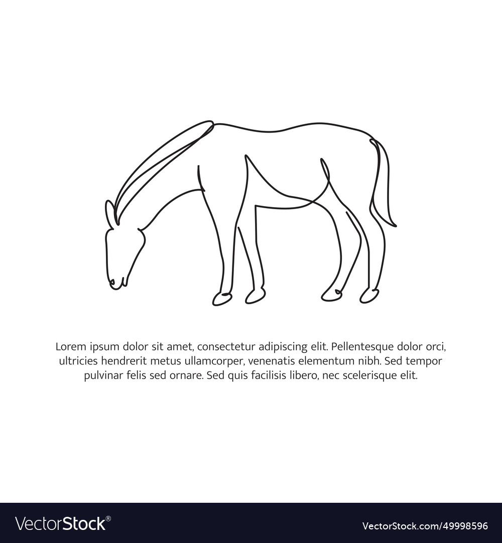 Horse line design simple animal silhouette