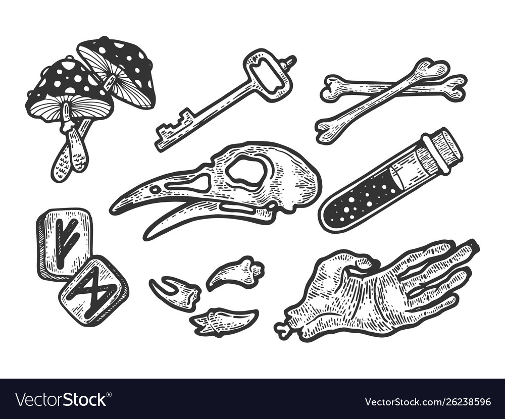Magische Hexe Zutaten Skizze Gravur vector image Magische Hexe Zutaten Skizze Gravur