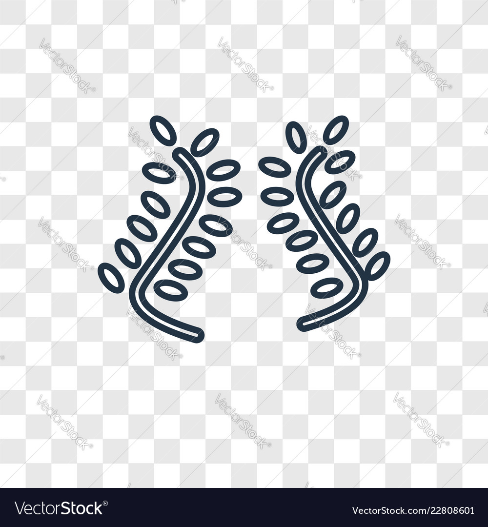 Two branches of frame concept linear icon vector image Two branches of frame concept linear icon