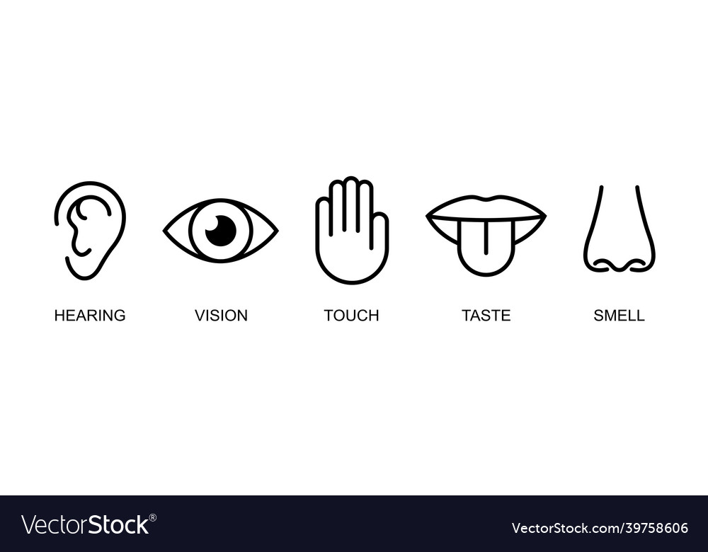 A set of icons the five human senses hearing Vector Image