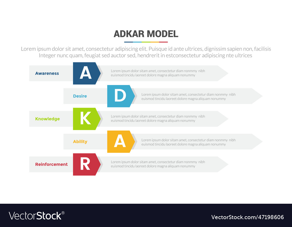 Adkar change management model stage infographics Vector Image