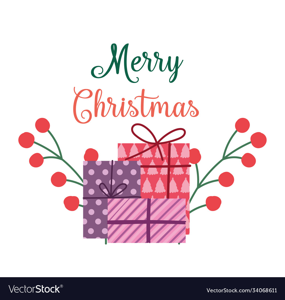 Merry christmas gift boxes holly berry lettering Vector Image