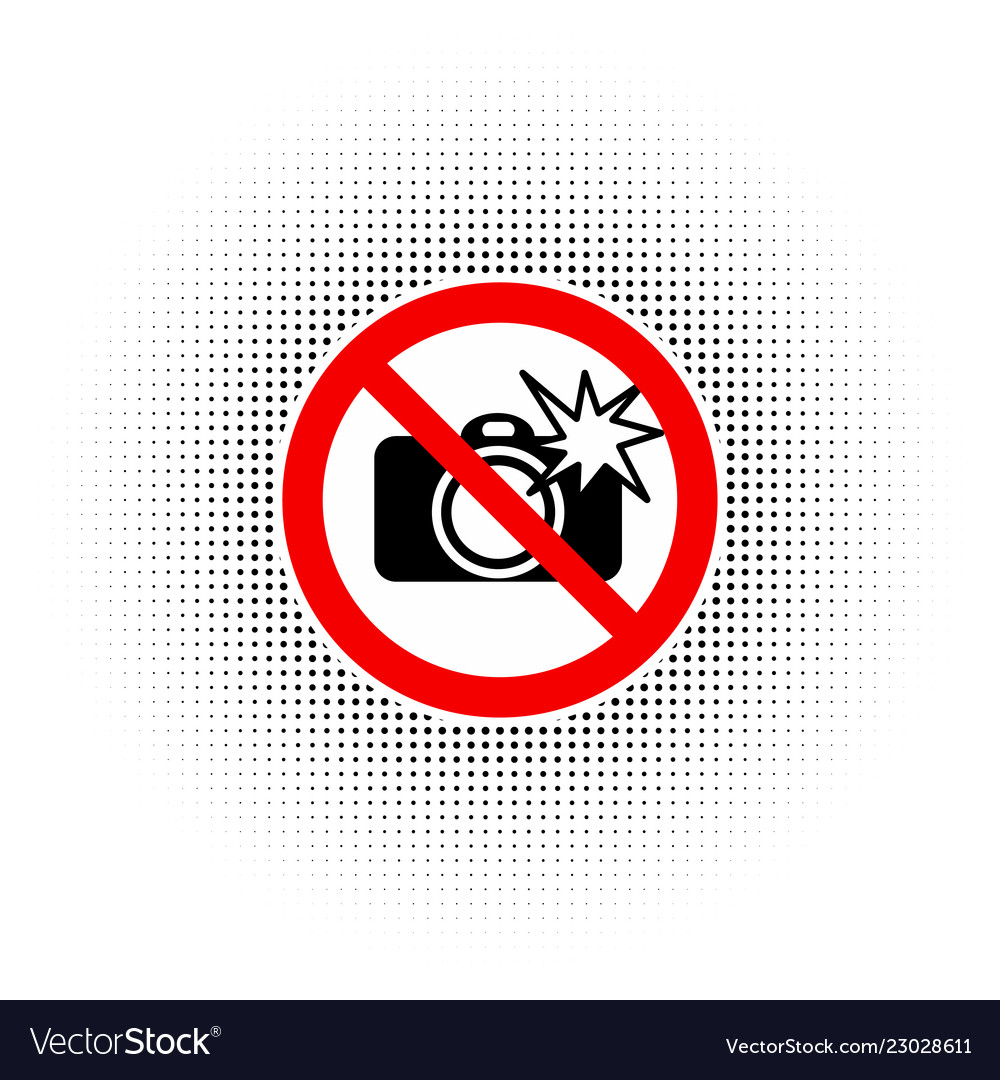 No photography with flash sign Royalty Free Vector Image