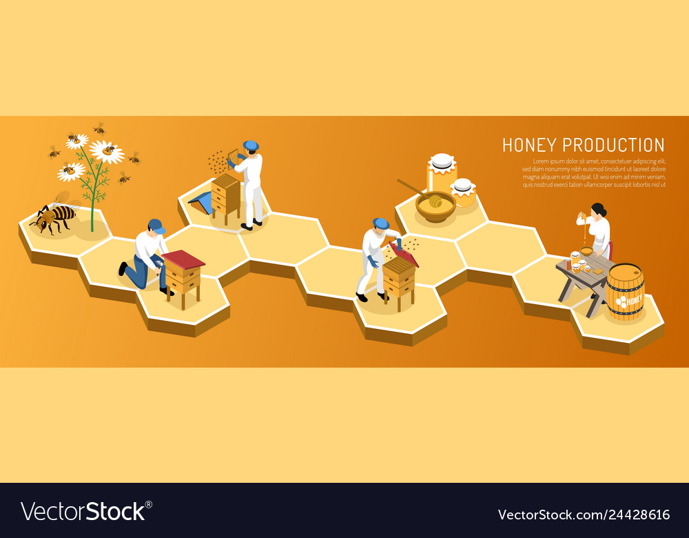 Honey production isometric horizontal vector image Honey production isometric horizontal