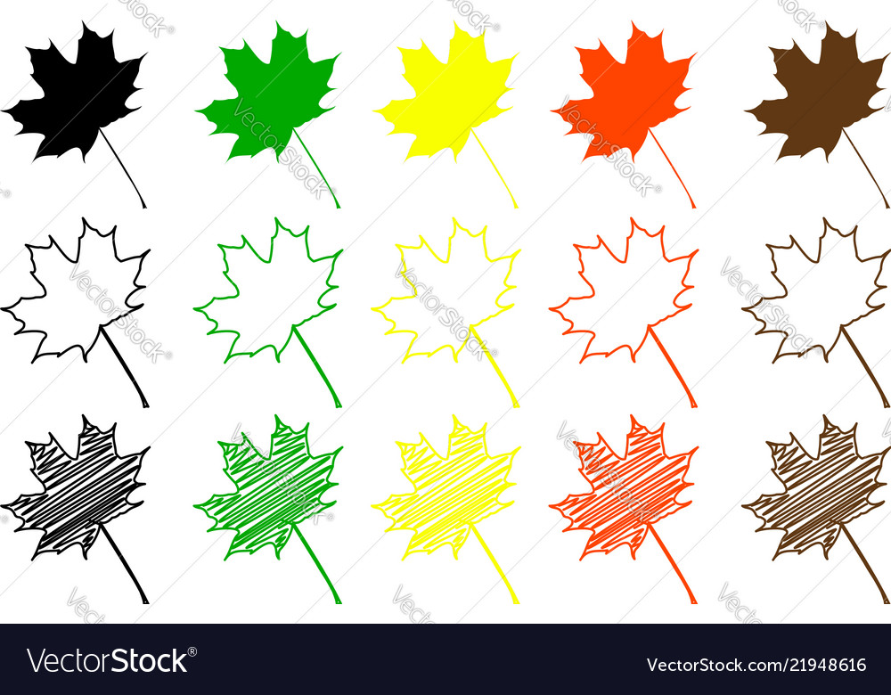 Maple leaf color set Royalty Free Vector Image