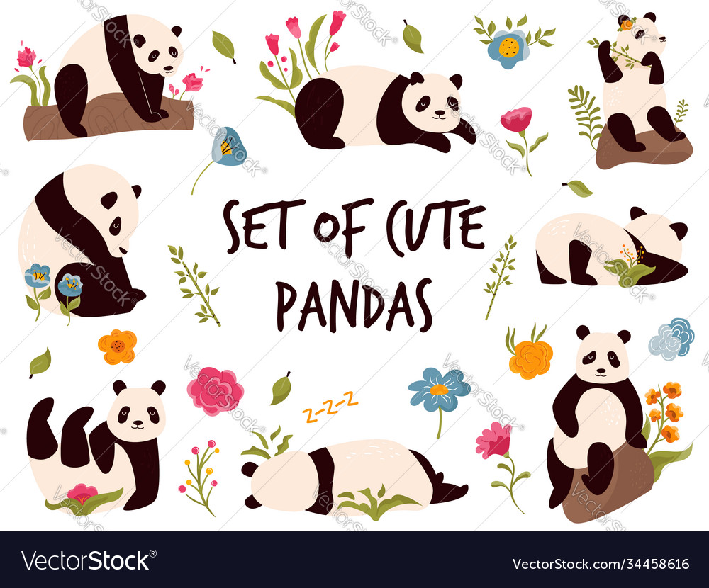Set cute cheerful pandas in different poses Vector Image Set cute cheerful pandas in different poses