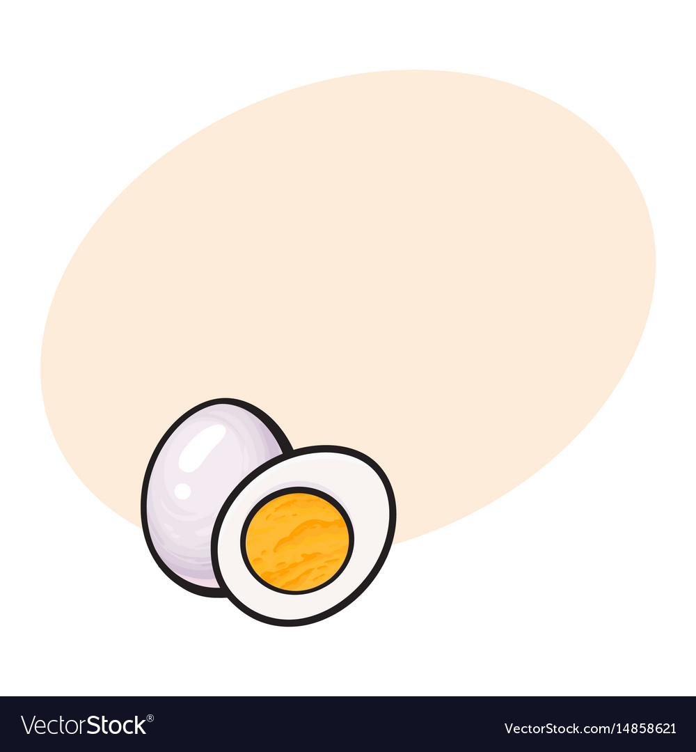 Boiled peeled chicken egg whole and cut in half