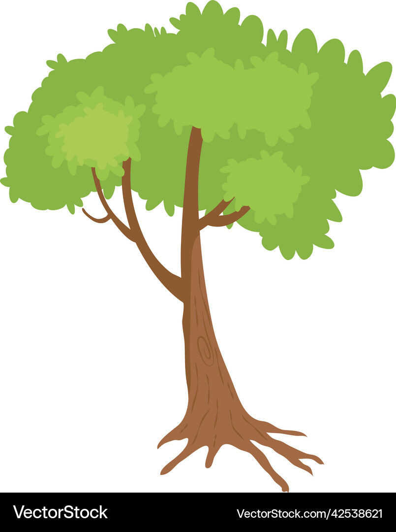 Tree plant forest Royalty Free Vector Image - VectorStock