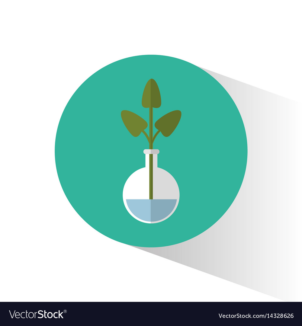 Biology plant testt tube school icon