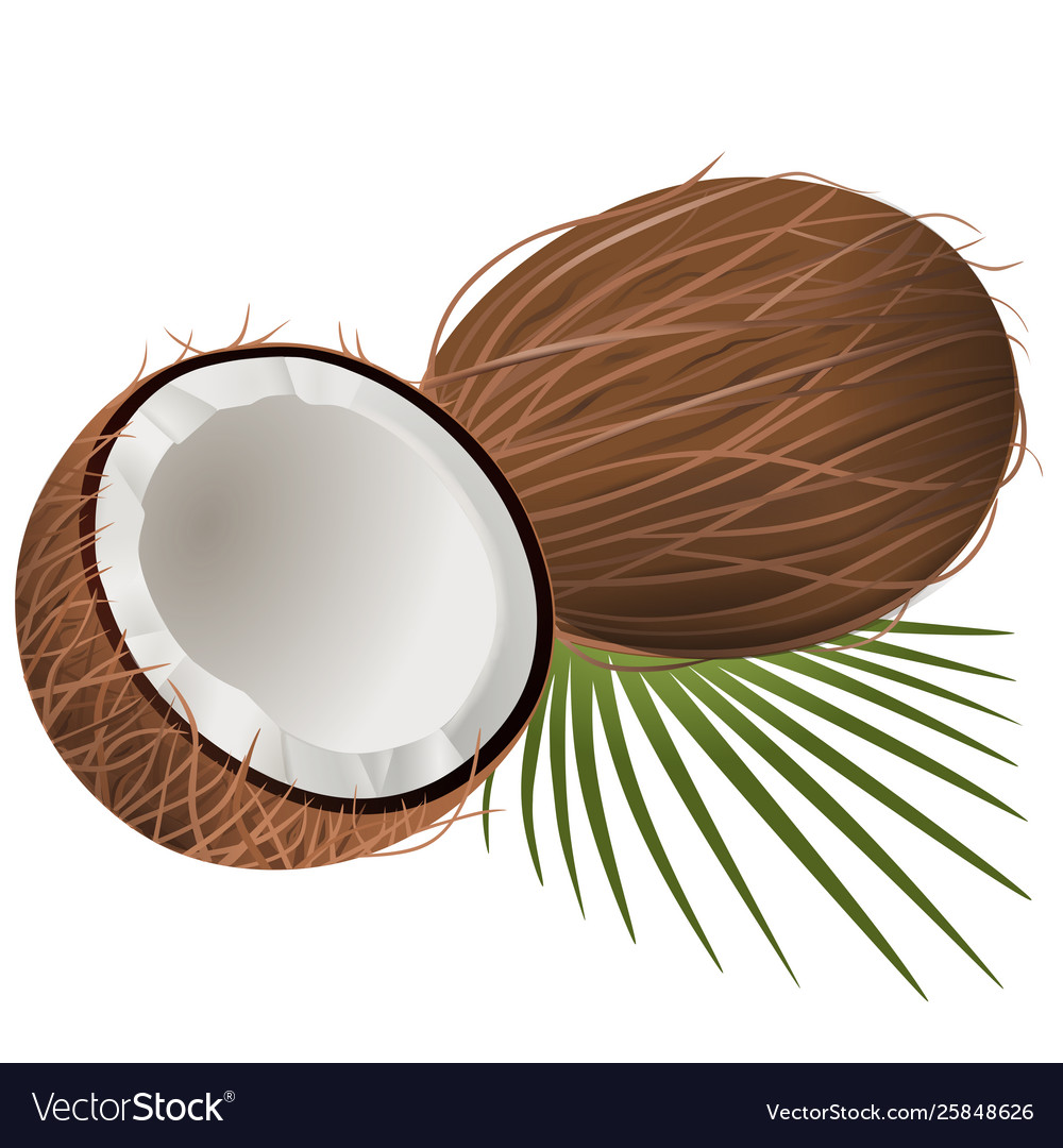 Coconut