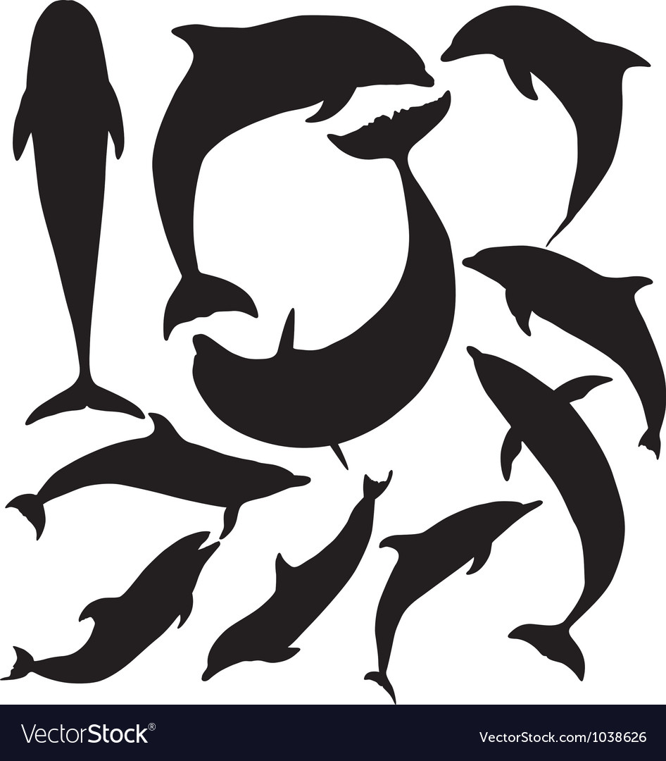 dolphin silhouette royalty free vector image vectorstock