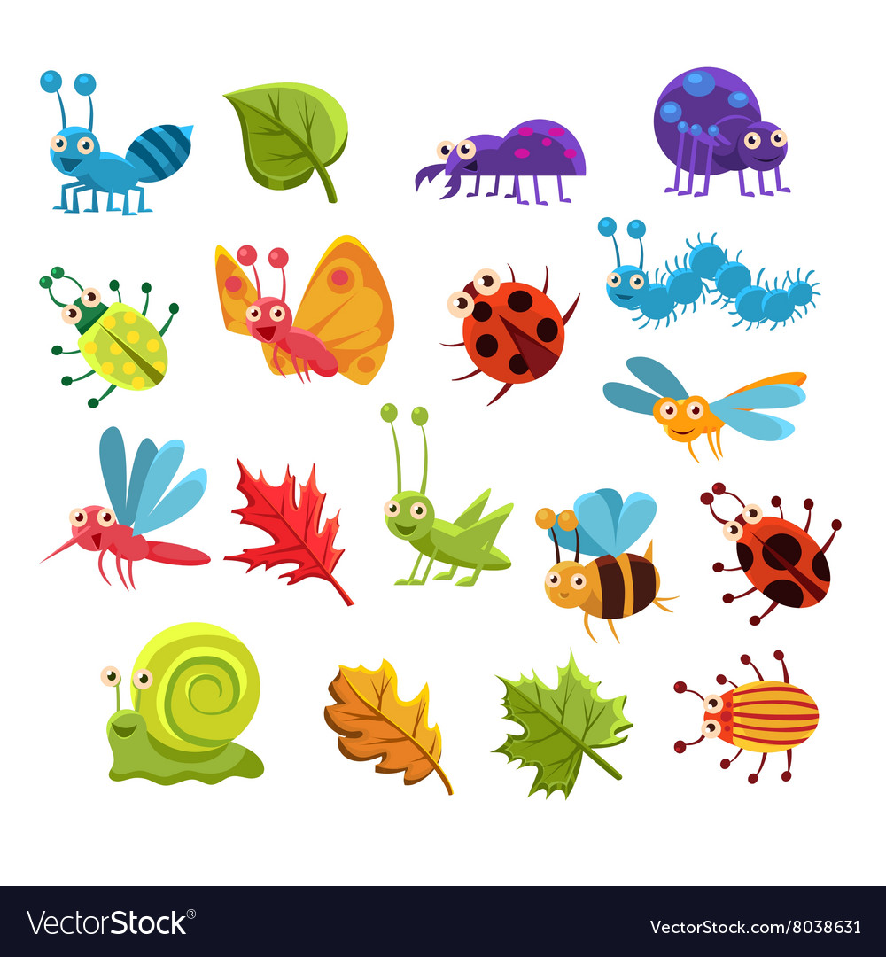 Insect and leaves collection