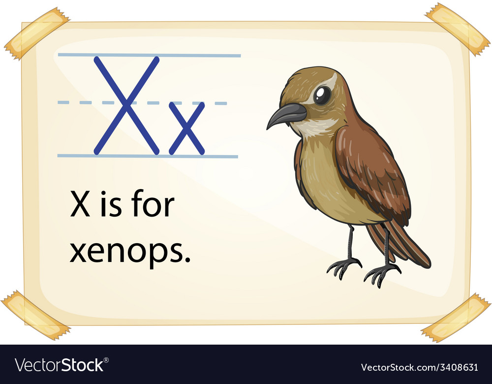 Letter x Royalty Free Vector Image VectorStock