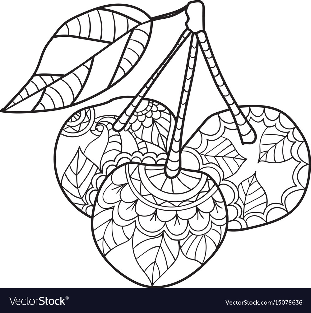  Coloring  pages  for adults  cherry sketch fruits  Vector Image