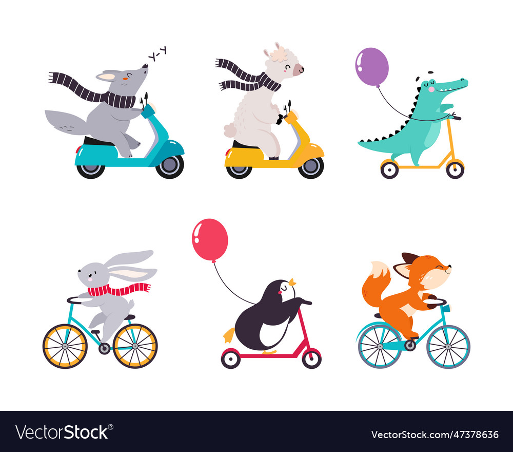 Cute animal riding bicycle and scooter