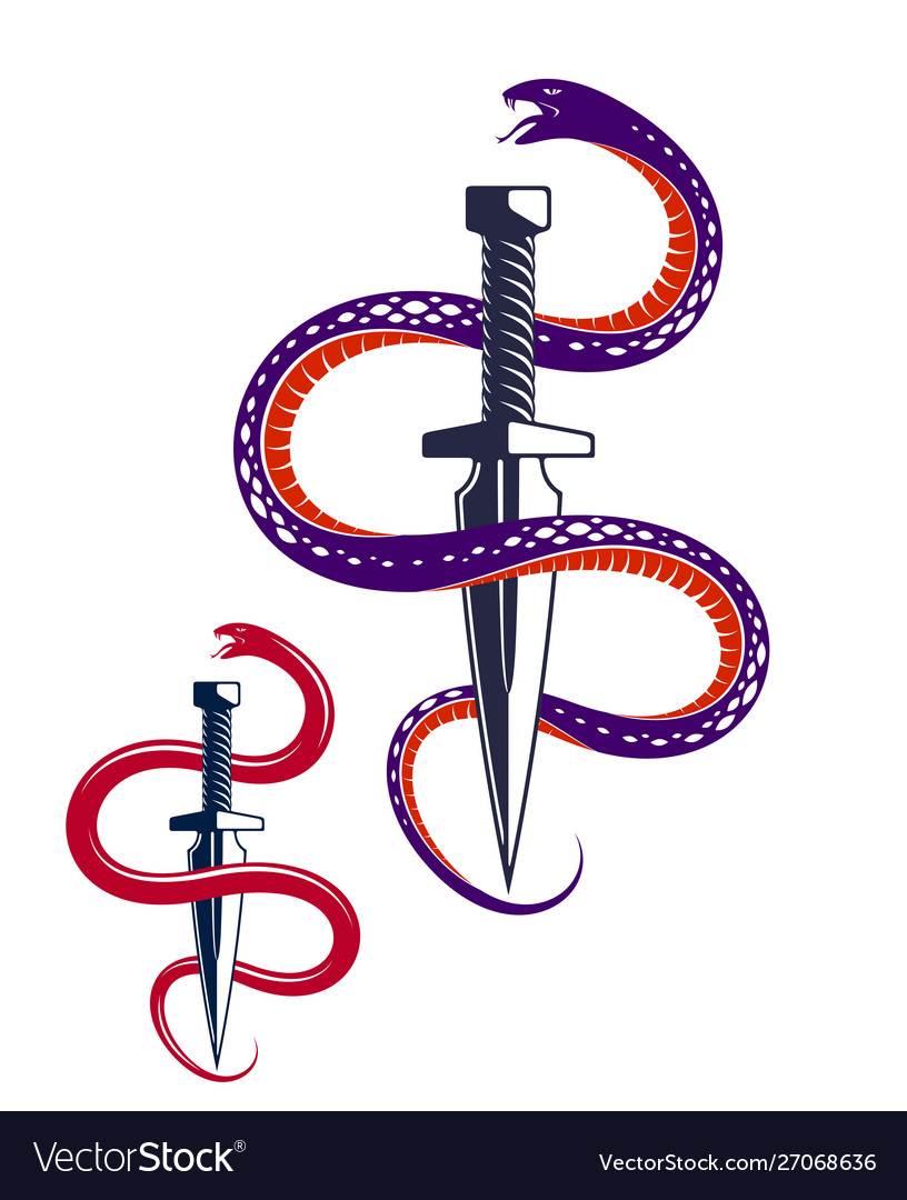 Dagger kills a snake defeated serpent wraps vector image Dagger kills a snake defeated serpent wraps