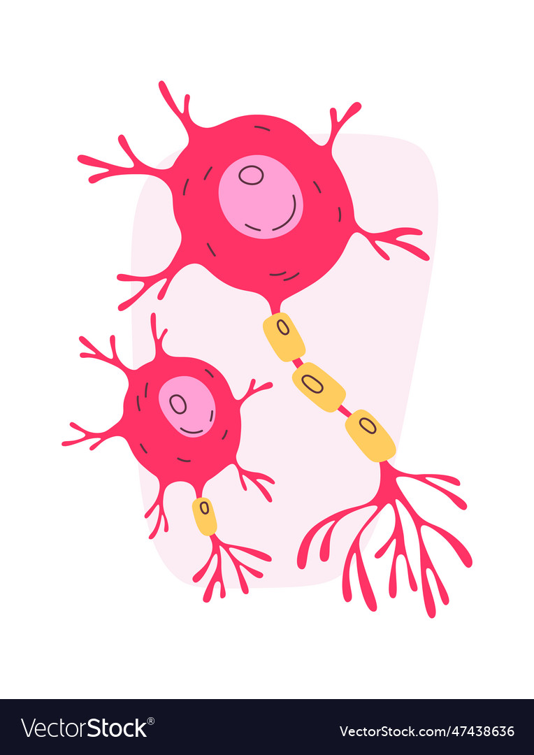 Nerv human cells