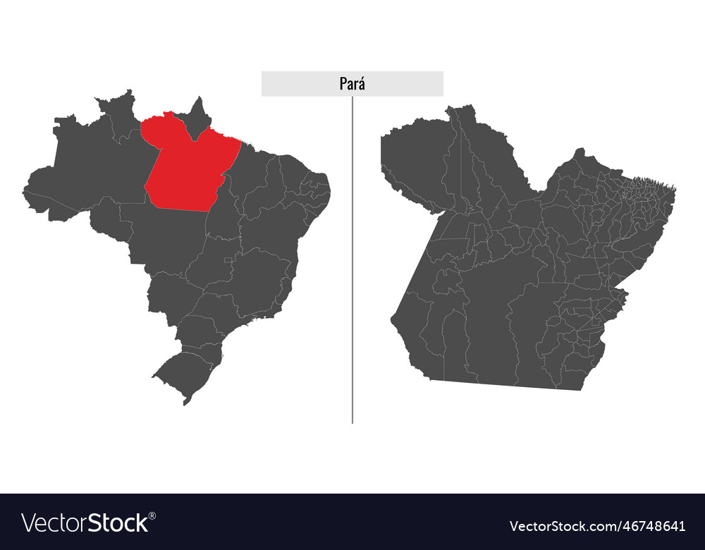 Map of para state brazil Royalty Free Vector Image