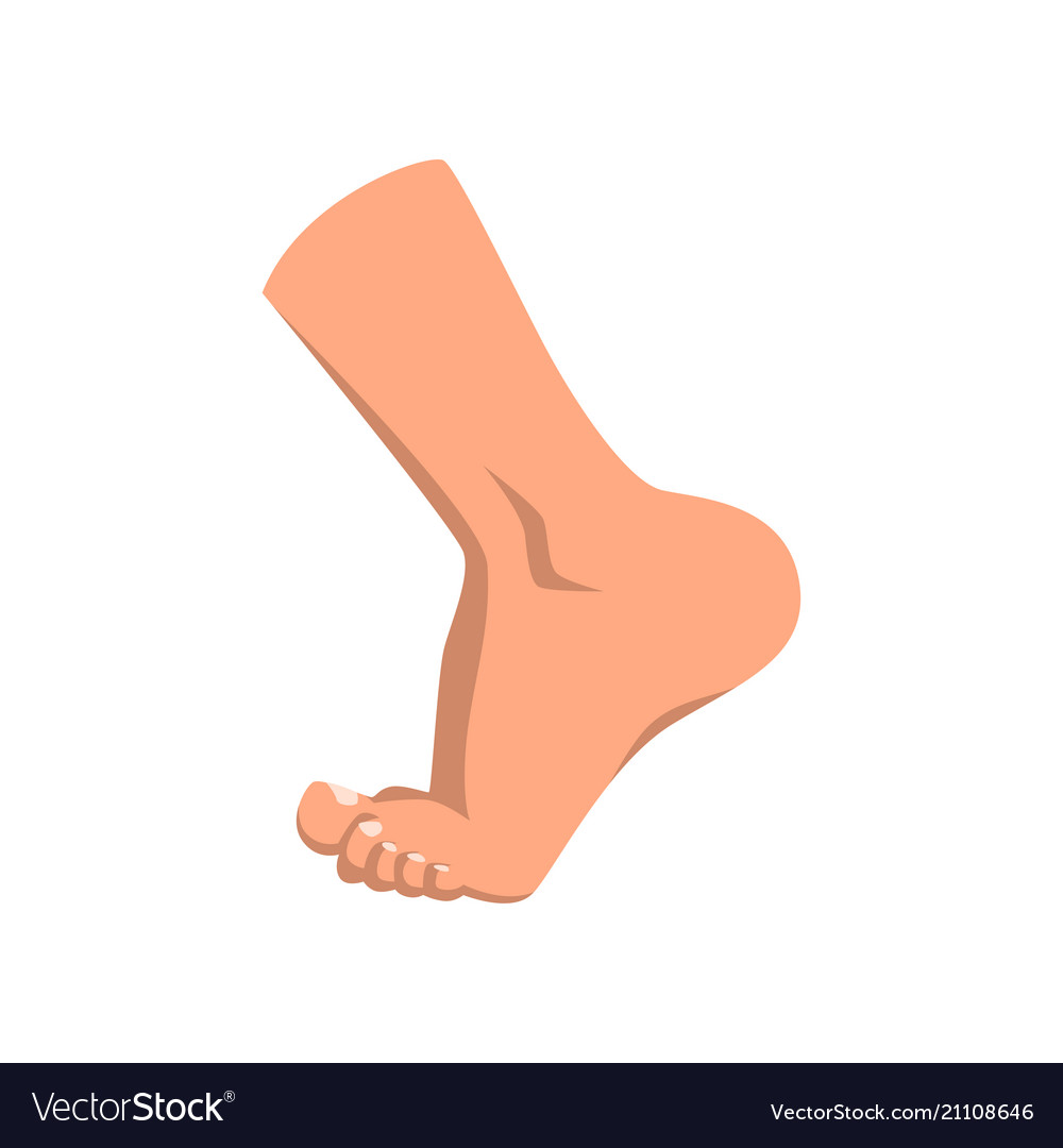 Male foot standing on toe Royalty Free Vector Image