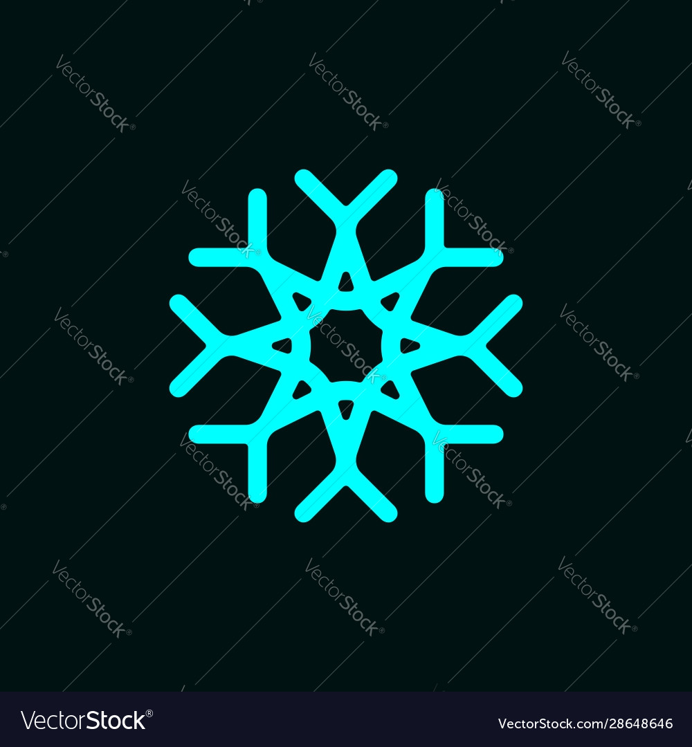 Snowflake symbol logo template with star icon Vector Image