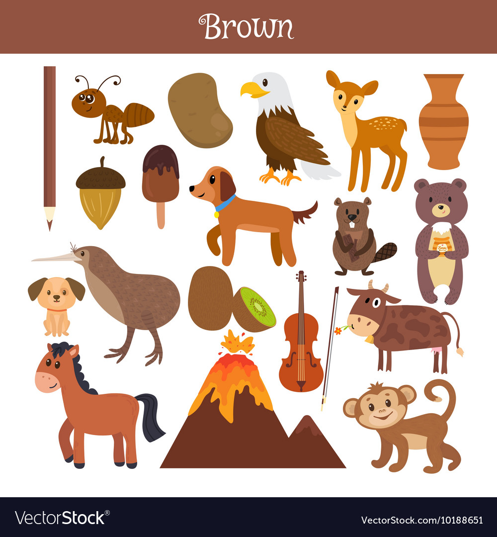 Brown learn the color education set of primary Vector Image